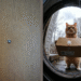 Digital peephole door viewer